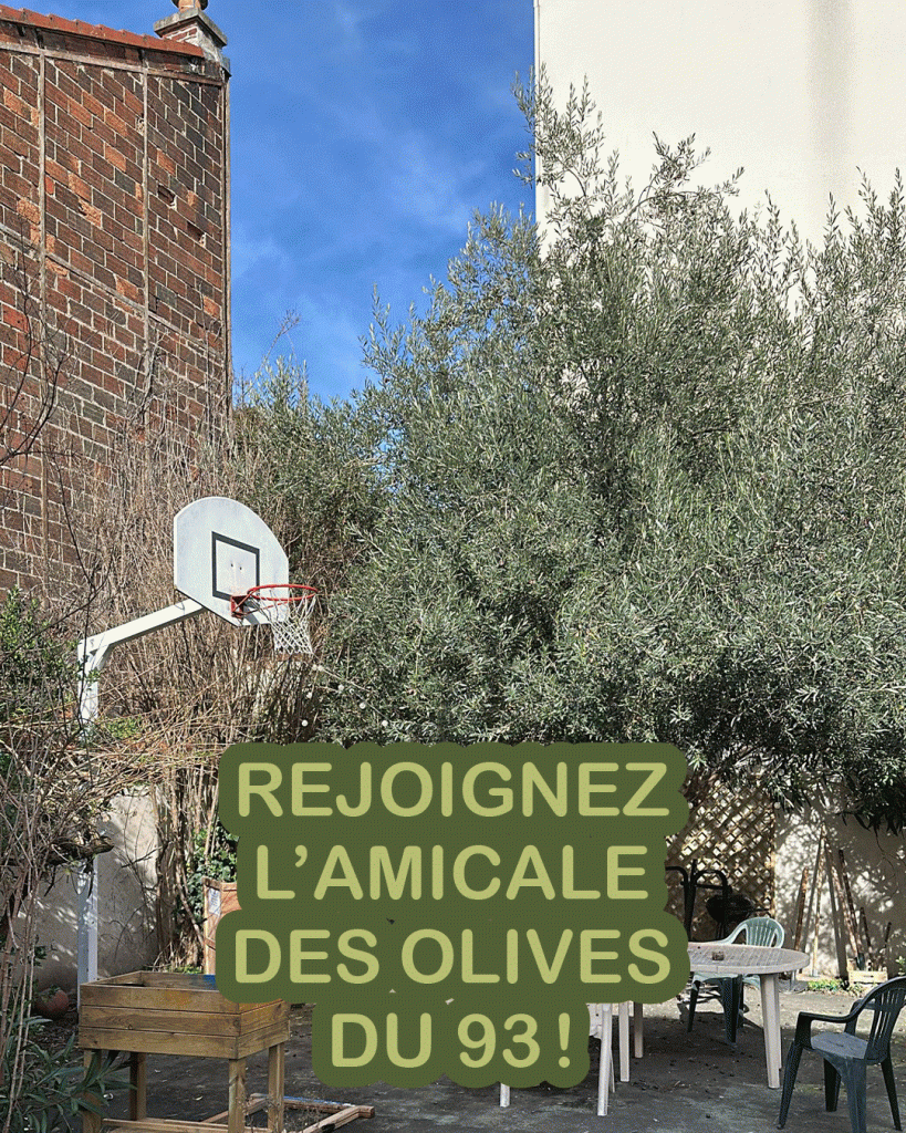 GIF_rejoignez-l-amicale-des-olives-du-93