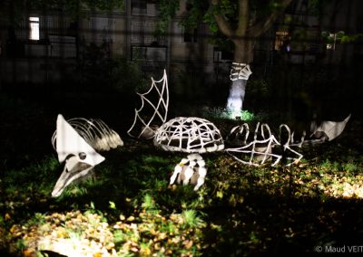 Parade des Lanternes 2025 © MAUD VEITH