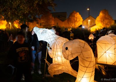 Parade des Lanternes 2025 © MAUD VEITH