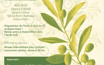 BALADE À VÉLO, PIQUE-NIQUE ET REPÉRAGE D&rsquo;OLIVIERS