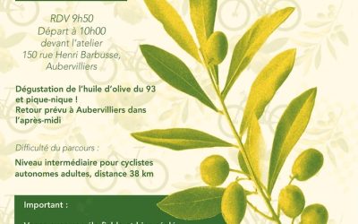 BALADE À VÉLO, PIQUE-NIQUE ET REPÉRAGE D’OLIVIERS