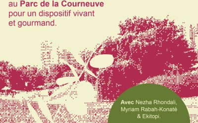 LES POUSSIÈRES AU PARC DE LA COURNEUVE